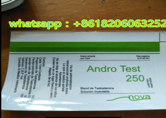 Teste de acabamento brilhante/matte E 250 Farmacêuticos 10 ml Garrafa de vidro Holograma de rótulo personalizado conforme necessário