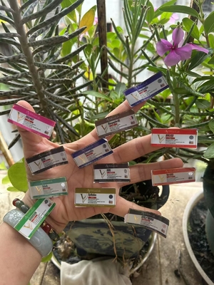 2 ml Etiquetas dos frascos para diferentes produtos peptídicos com impressão de ouro redondo