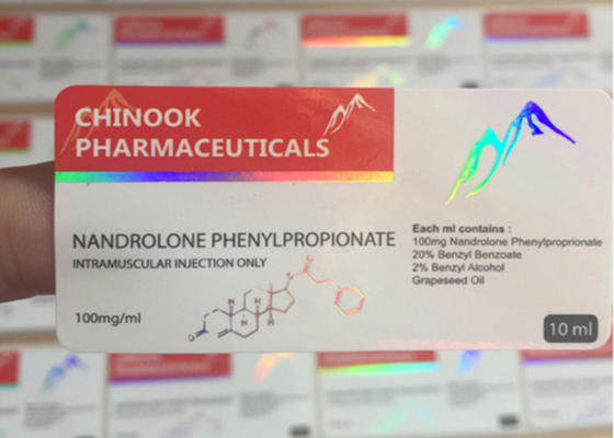 Etiquetas adesivas feitas sob encomenda holográficas de papel 6 x 3 Cm com canto redondo